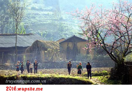 Bản Châng mùa gió lạ